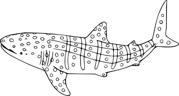 Easy Whale Shark Coloring Pages