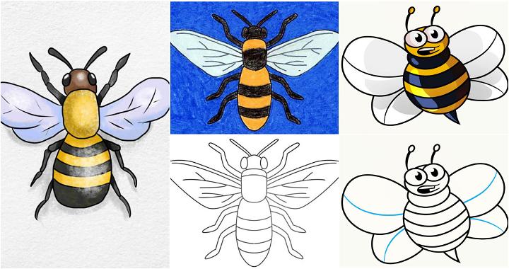 Easy bee drawing ideas and designs