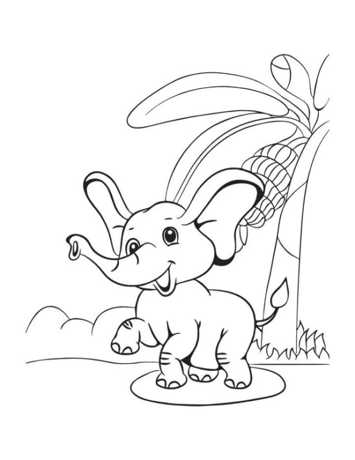 Elephant Coloring Pages PDF