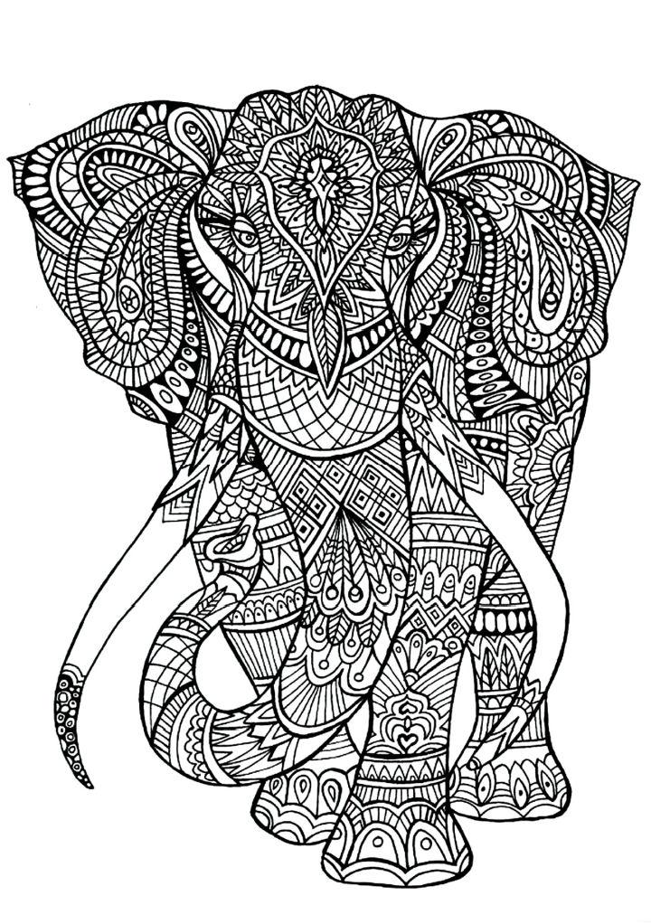 Elephant Coloring Pages for Adults