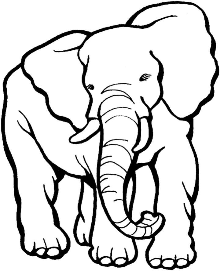 Elephant Coloring Pages for Little Ones