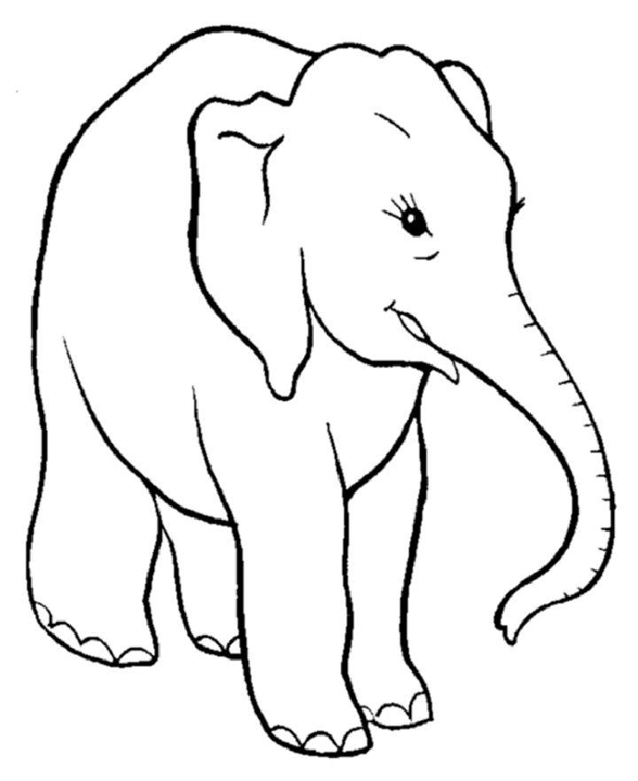 Elephant Coloring Pages to Print