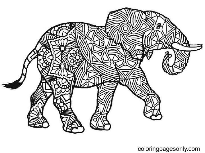Elephant Mandala Coloring Sheet
