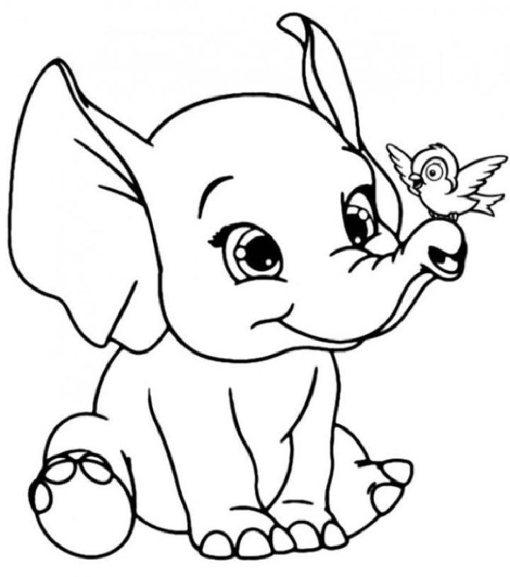 Elephants Coloring Pages and Printables