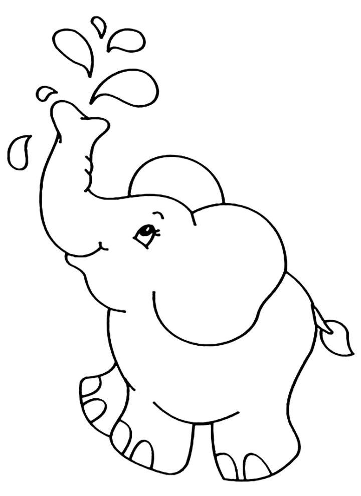 Elephants Coloring Pages for Kids