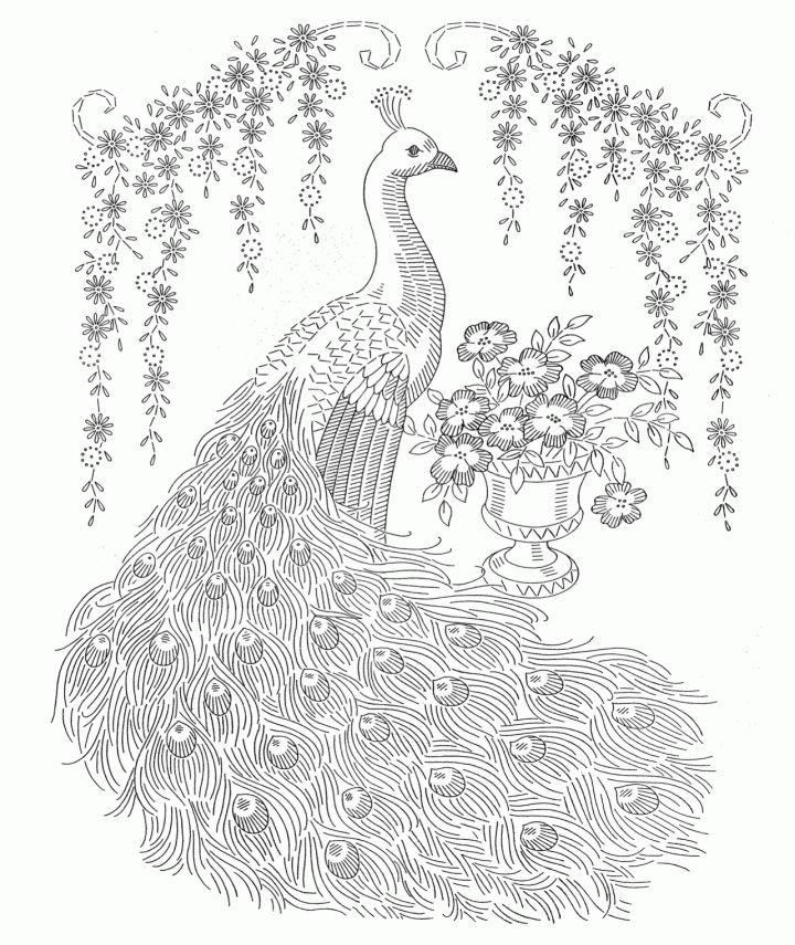 Fancy Peacock Coloring Pages for Adults