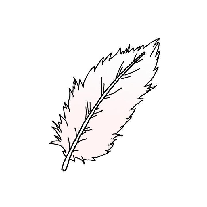 Black And White Drawing Of A Feather Outline Sketch Vector, Easy Feather  Drawing, Easy Feather Outline, Easy Feather Sketch PNG and Vector with  Transparent Background for Free Download