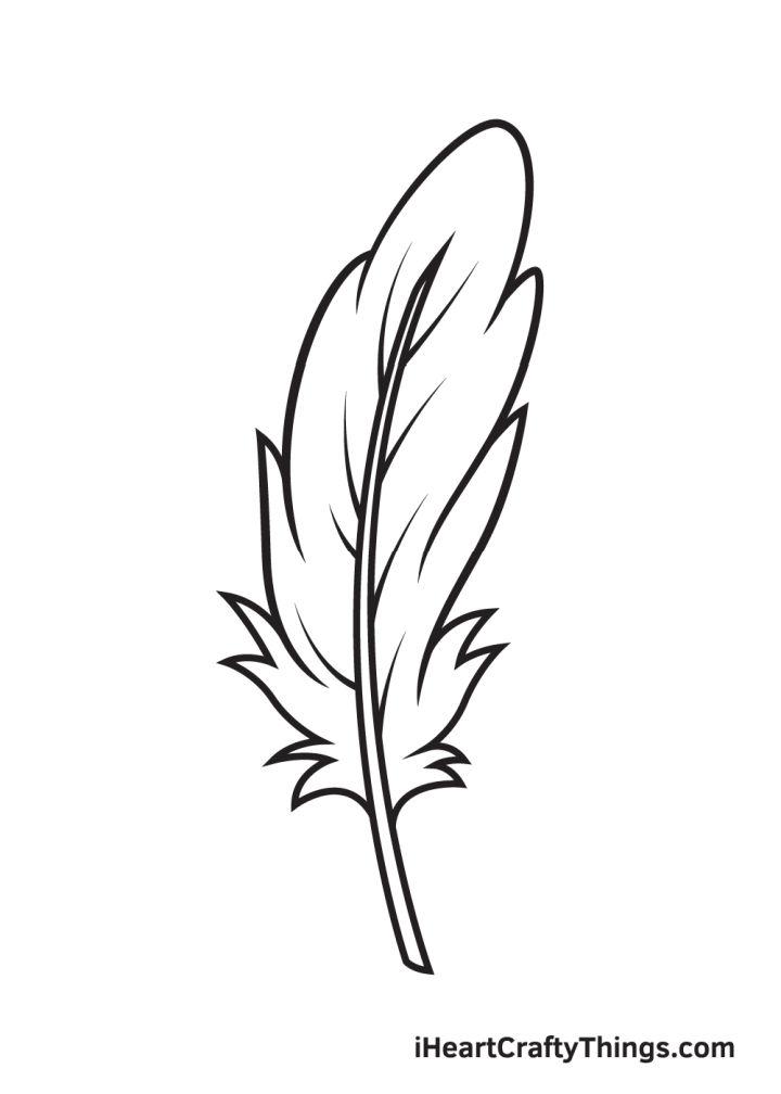 Feather Drawing Step by Step Guide