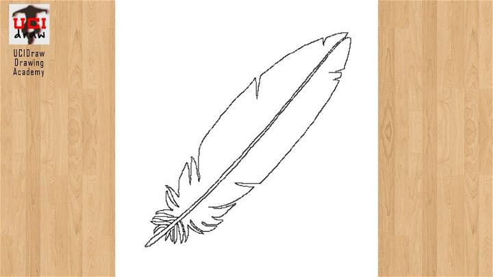 Feather Line Drawing