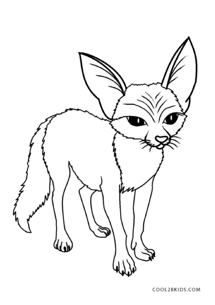 Fennec Fox Pictures to Color