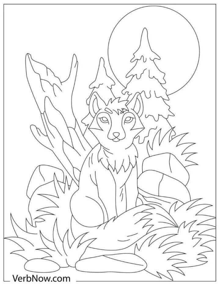 Fierce Fox Sitting on the Grass Coloring Page