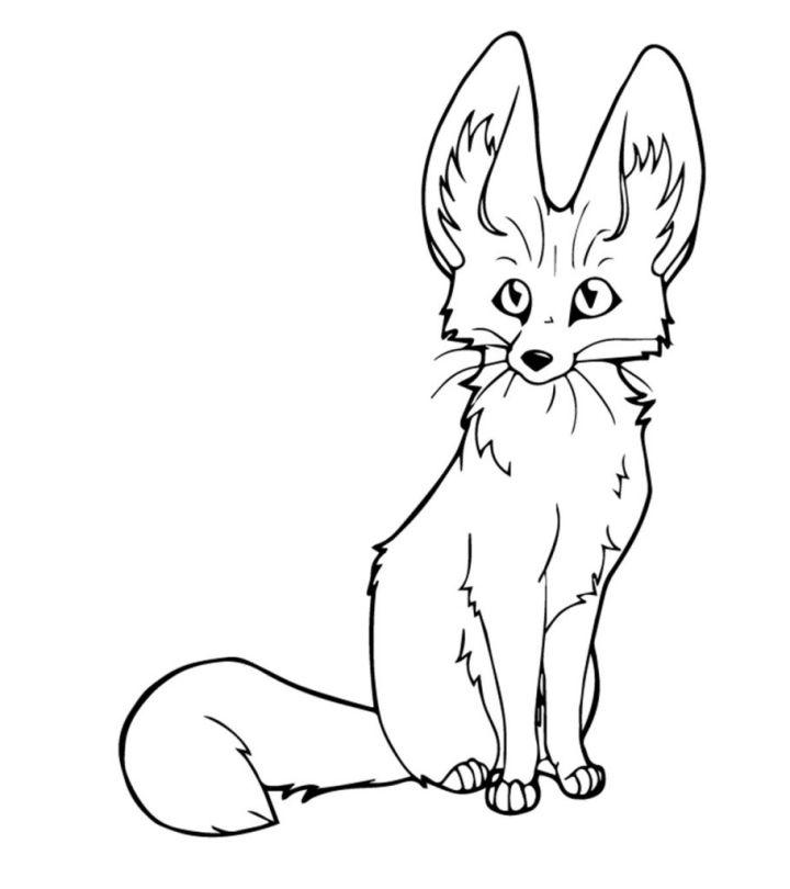 Fox Coloring Pages, Tracer Pages, and Posters