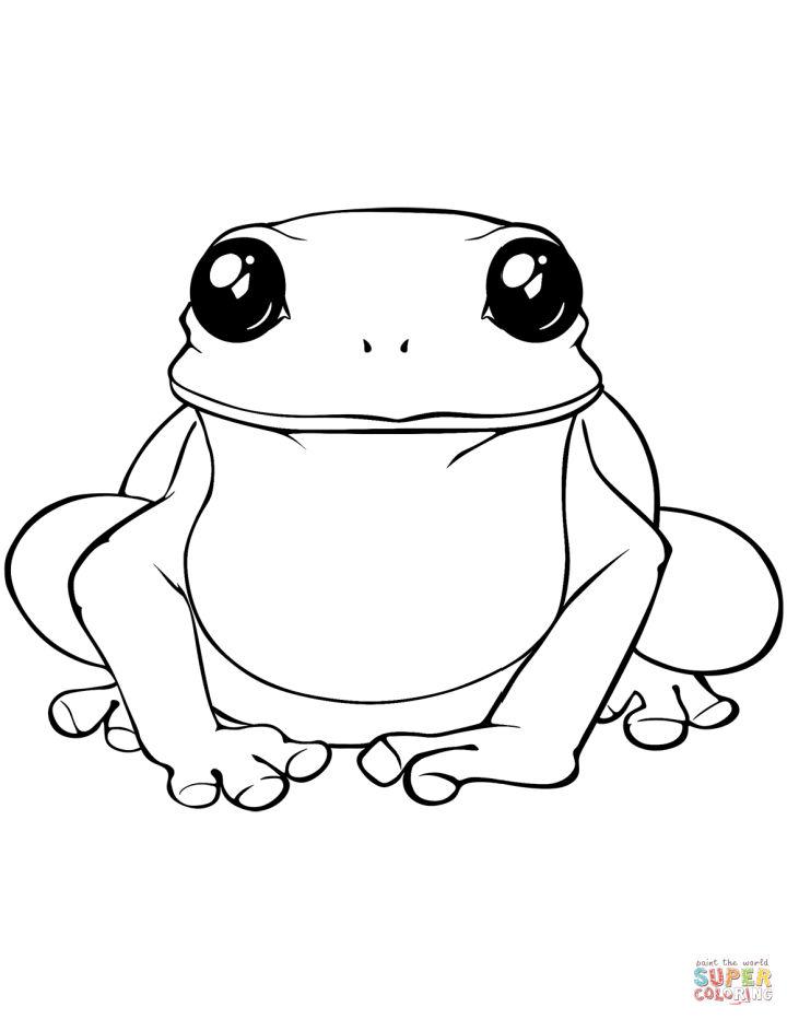 Free Big Frog Coloring Page