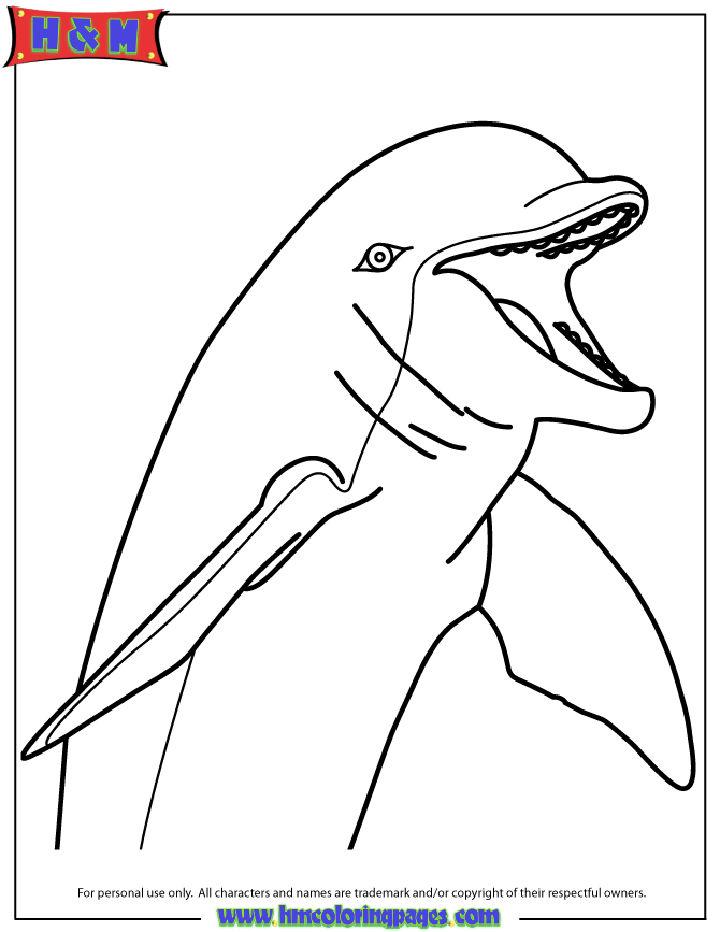 Free Kids' Cartoon Dolphin Coloring Page