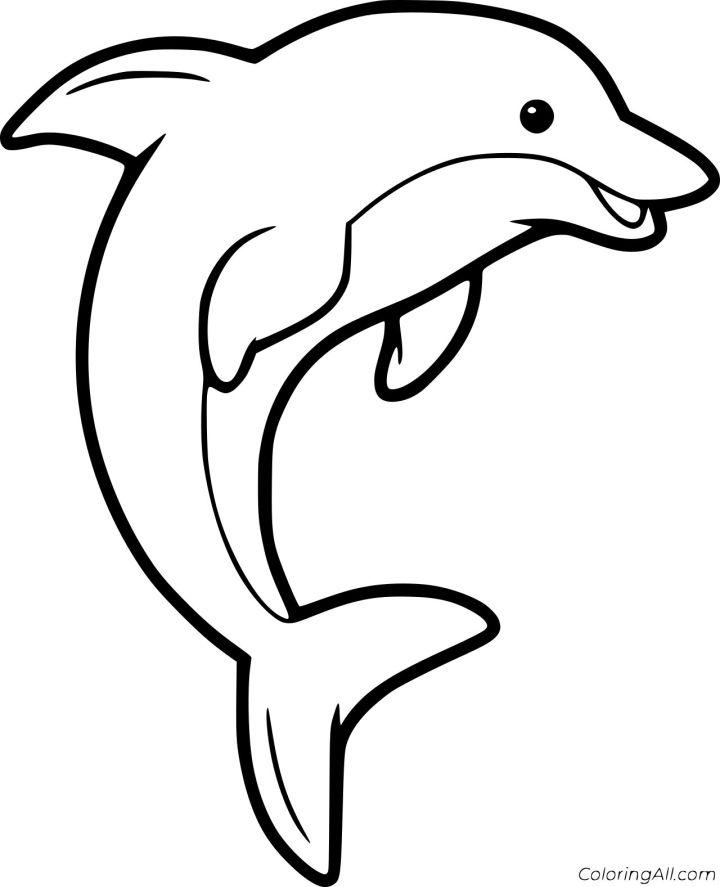Free Kids' Dolphin Coloring Pages