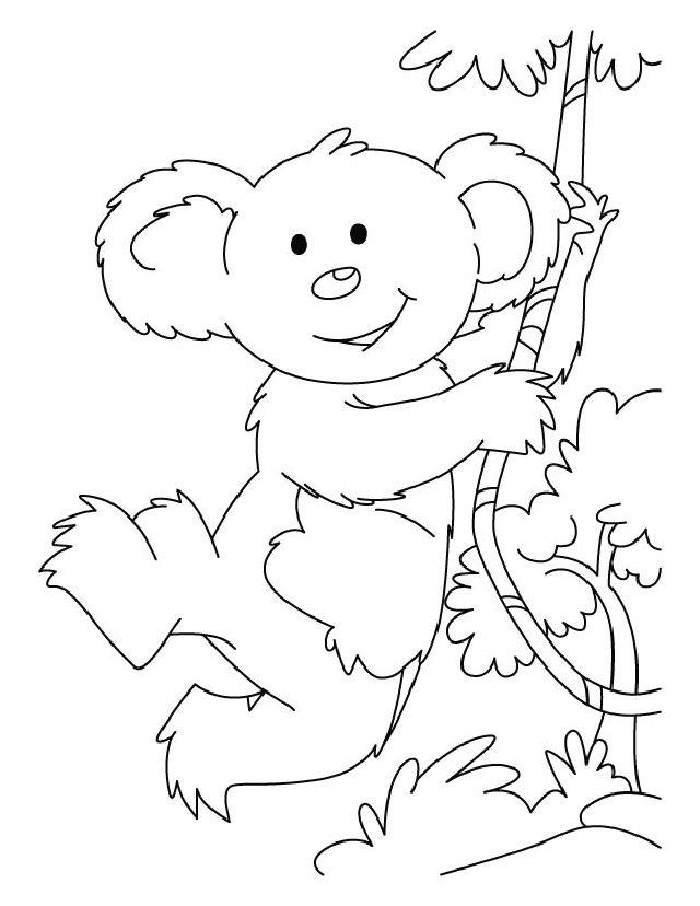 Free Kids' Koala Coloring Pages