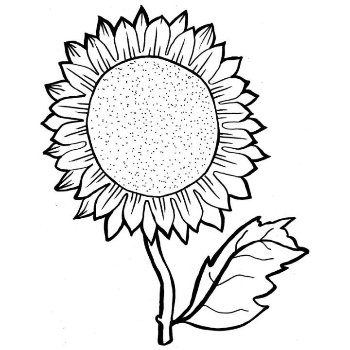 Free Kids' Sunflower Coloring Pages