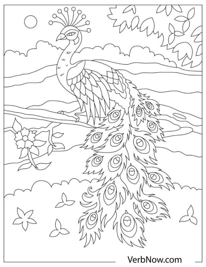 Free Peacock Coloring Pages for Download