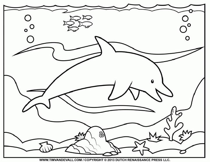 Free Printable Dolphin Coloring Pages