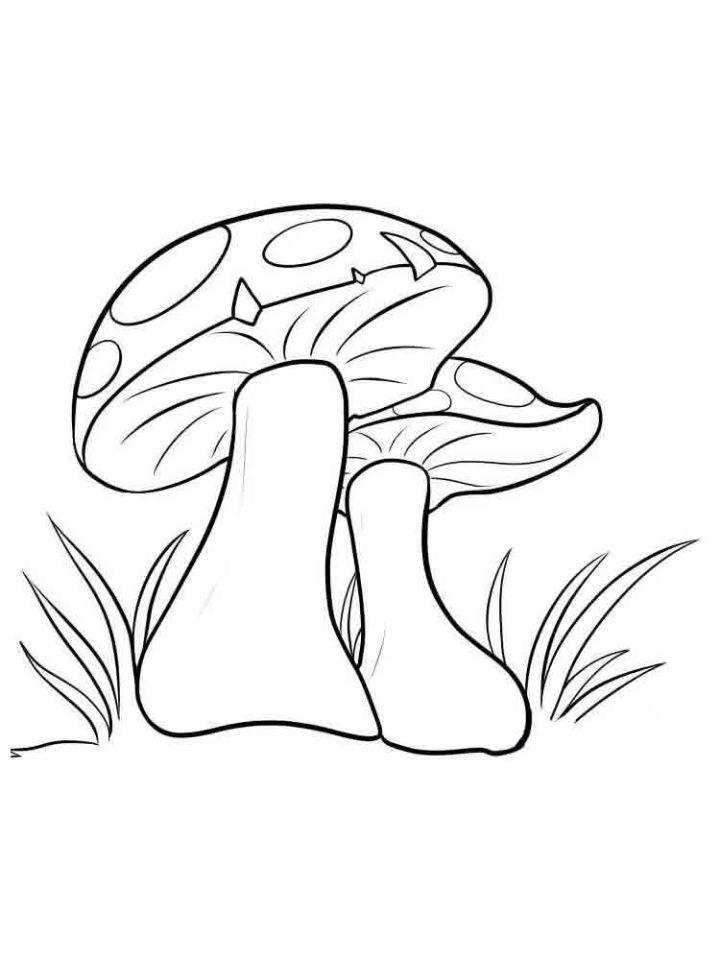 Free Printable Mushrooms Coloring Pages