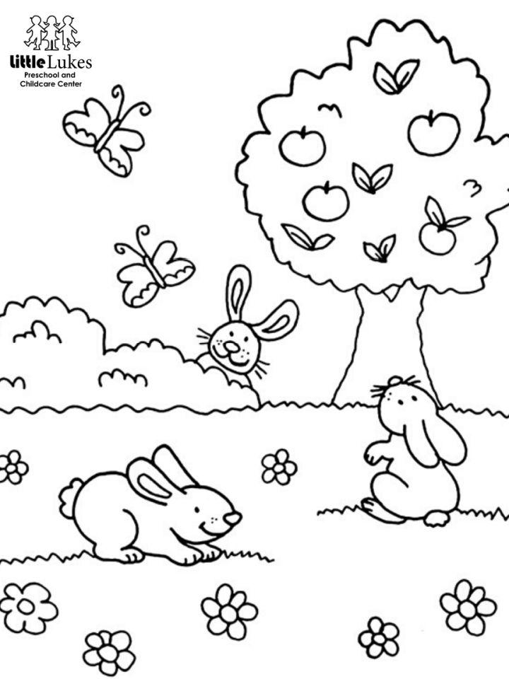 Free Spring Coloring Pages to Print