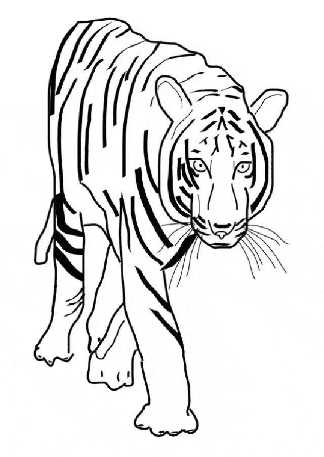 Free Tiger Coloring Page for Toddlers