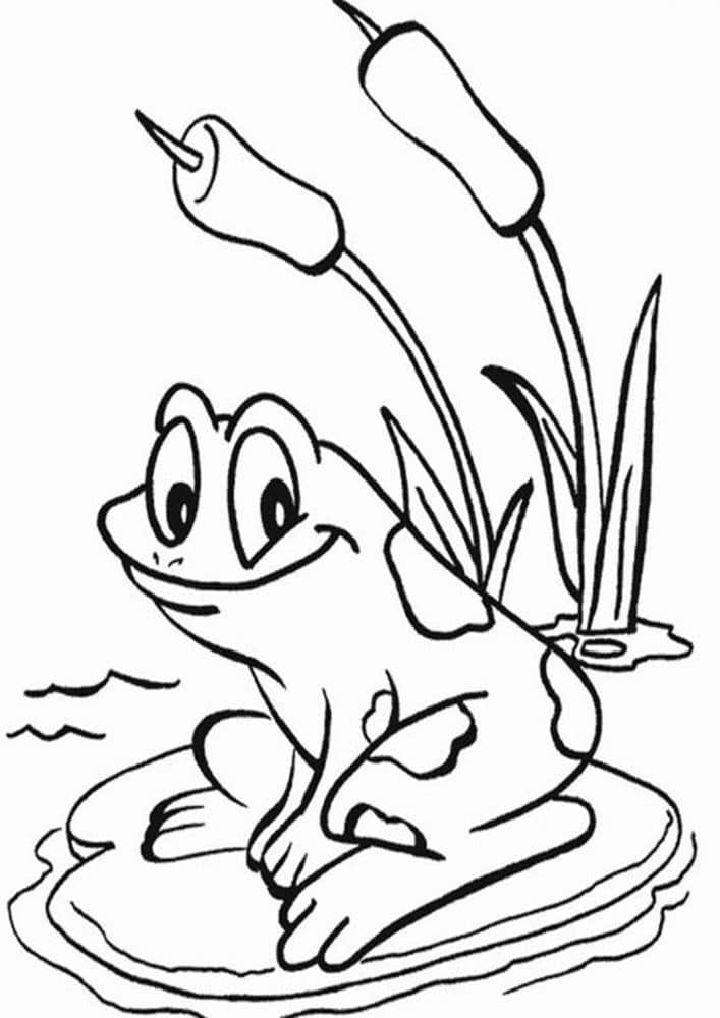Free and Easy to Print Frog Coloring Pages