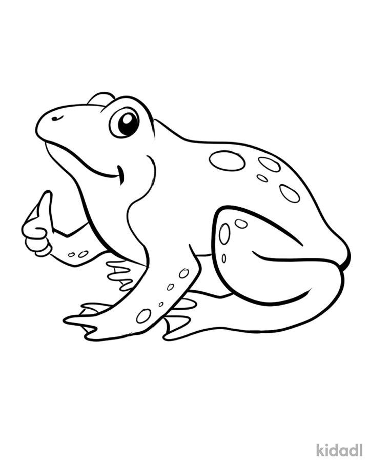 Frog Coloring Pages, Tracer Pages, and Posters