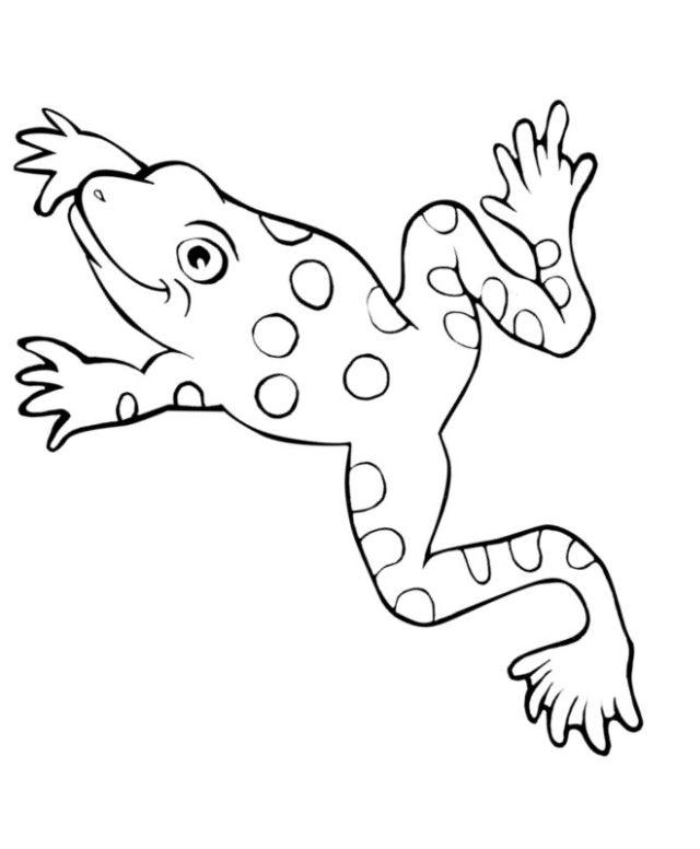 Frog Coloring Pages for Little Ones