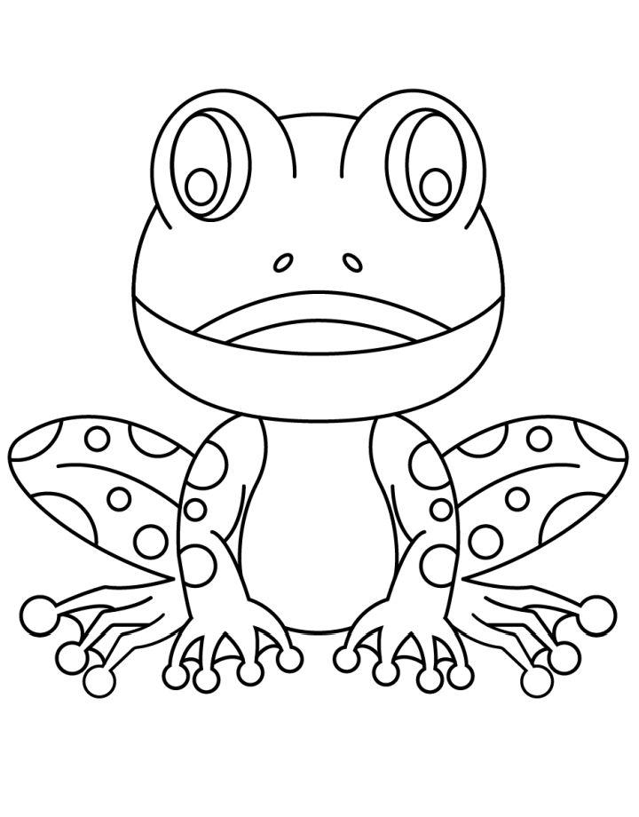 Frog Coloring Sheets to Download