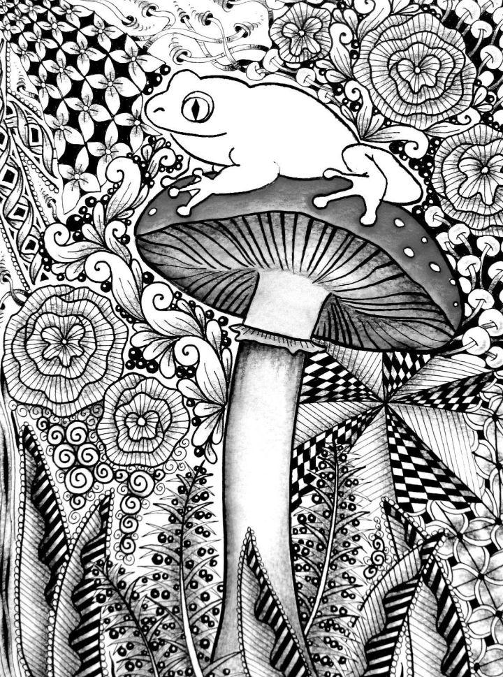 Frog and Mushroom Coloring Pages