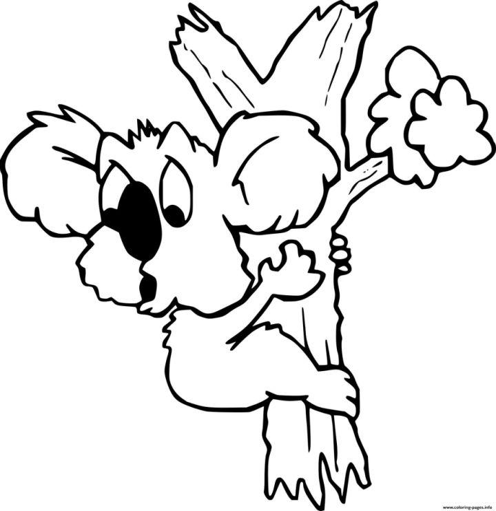 Funny Baby Koala Coloring Picture