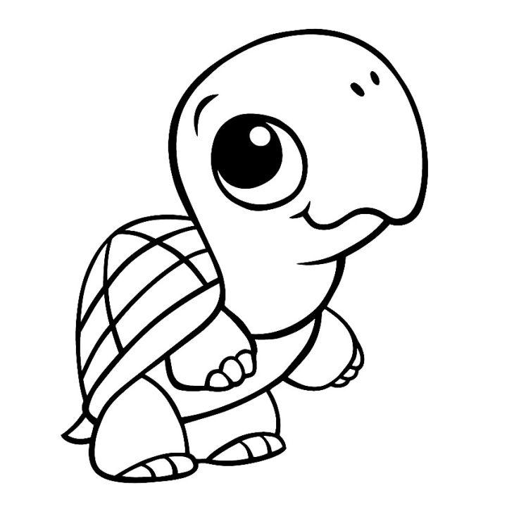 Funny Turtle Coloring Page for Kids