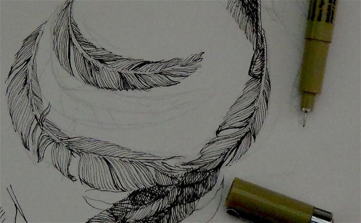 How to Draw Feathers with Pen and Ink