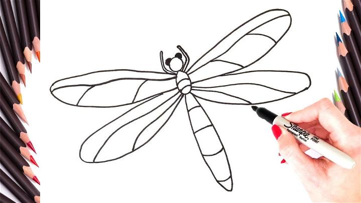 How to Draw a Dragonfly Step by Step