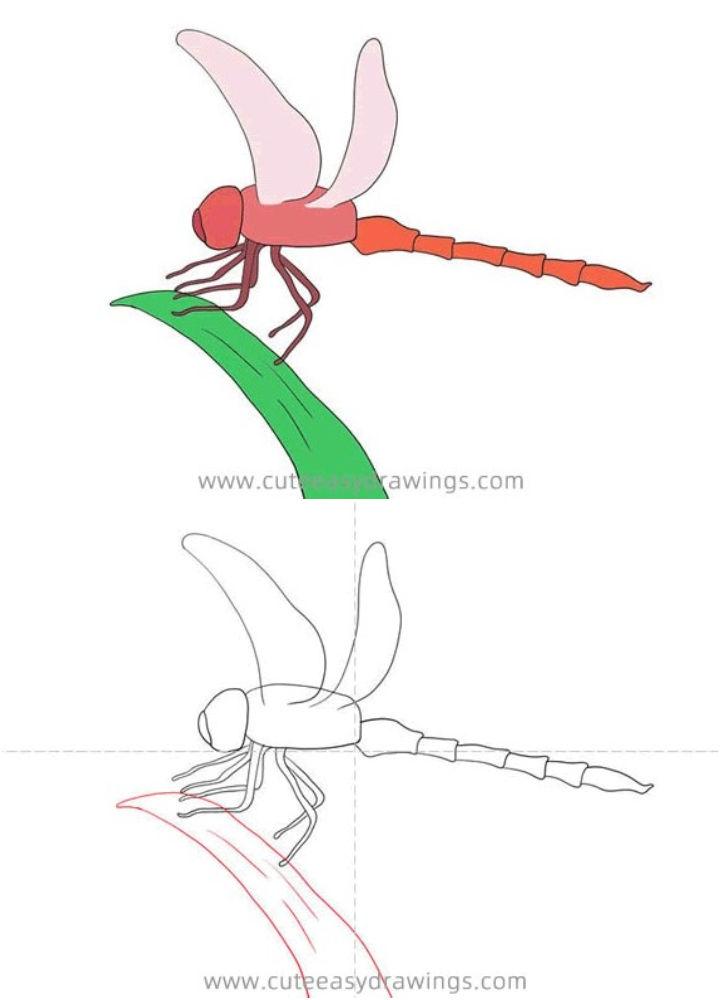 How to Draw a Dragonfly on Leaf