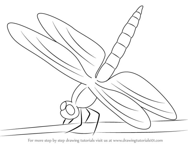 How to Draw a Dragonfly