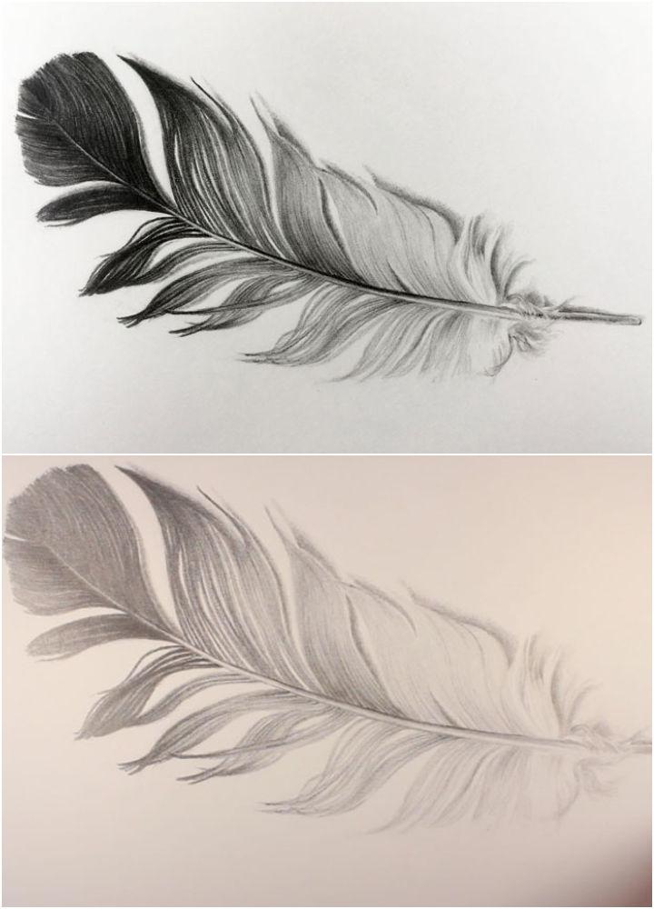 25 Easy Feather Drawing Ideas - How to Draw a Feather (2023)