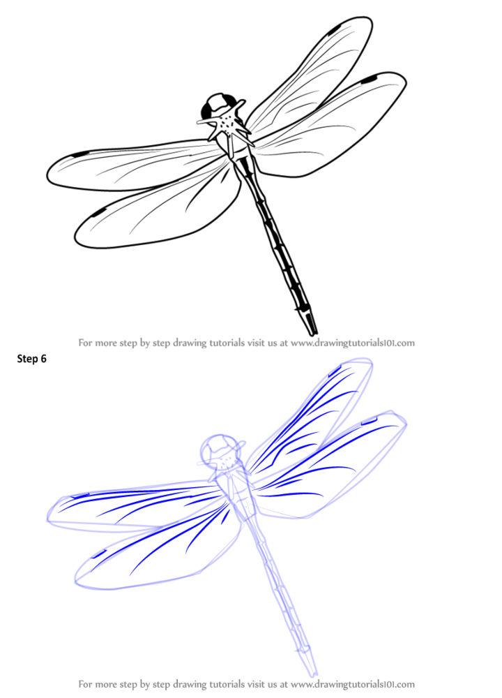 simple dragonfly drawings