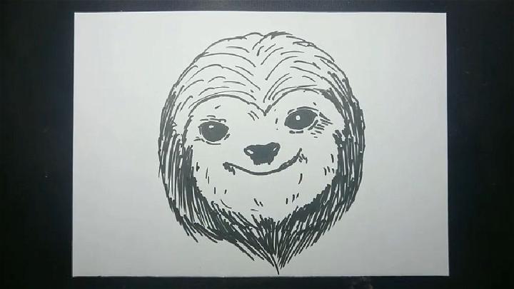 How to Draw a Sloth Face