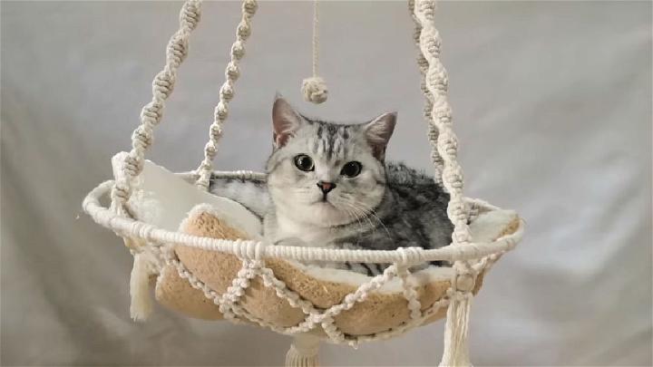 How to Make Macrame Cat Swing Bed