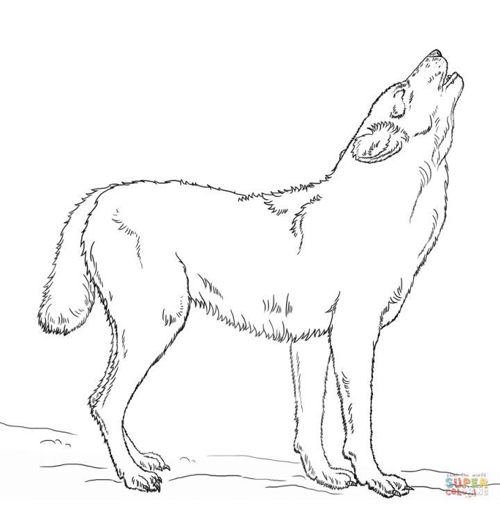 Howling Wolf Coloring Pages for Little Ones