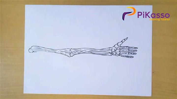 Human Skeleton Hand Drawing