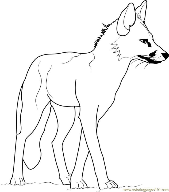 Hunting Fox Coloring Book Pages