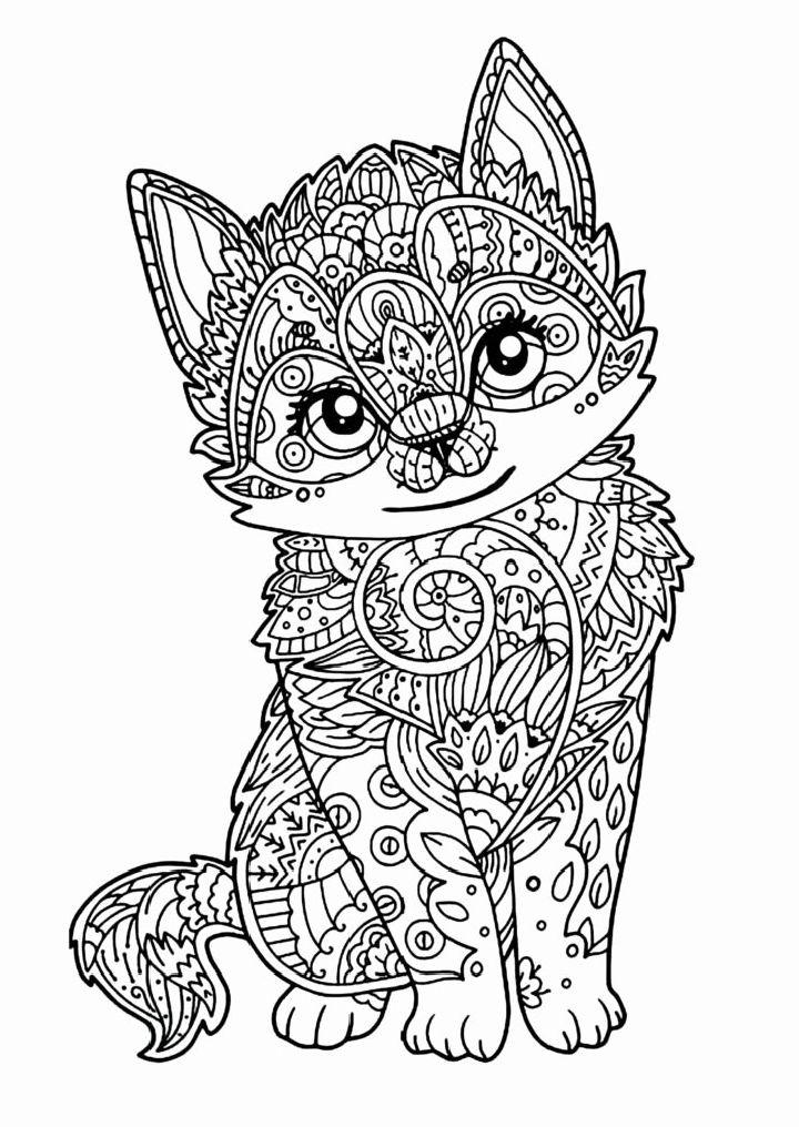 Kawaii Fox Coloring Book Page for Adults