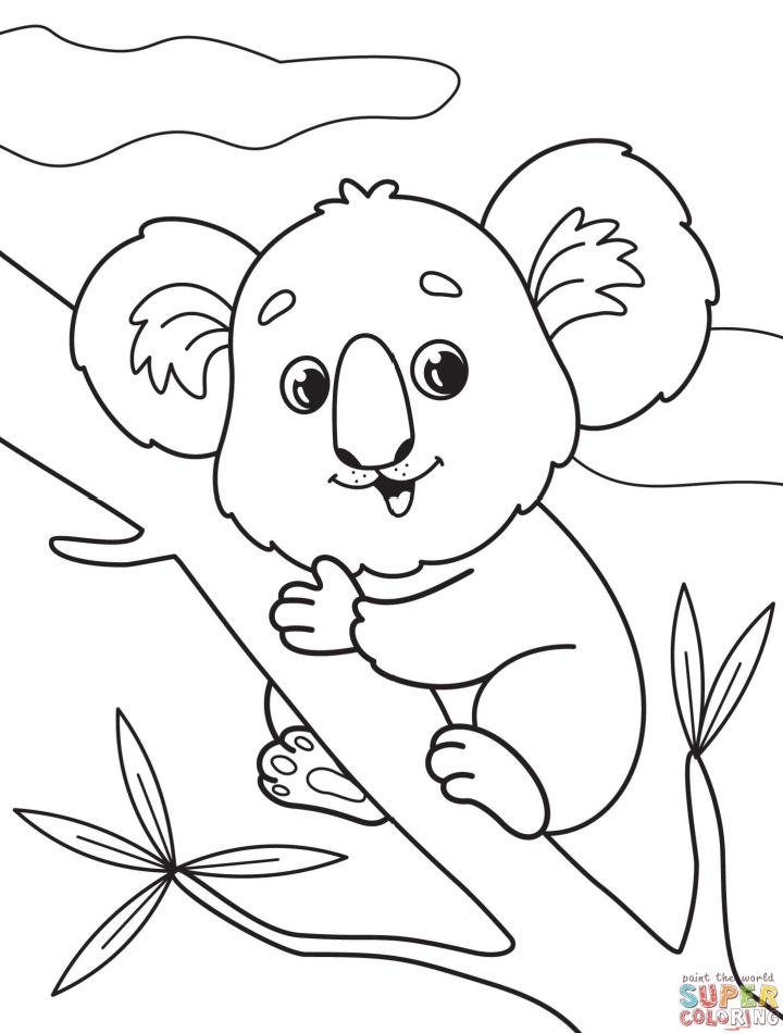 Koala Coloring Page Printable