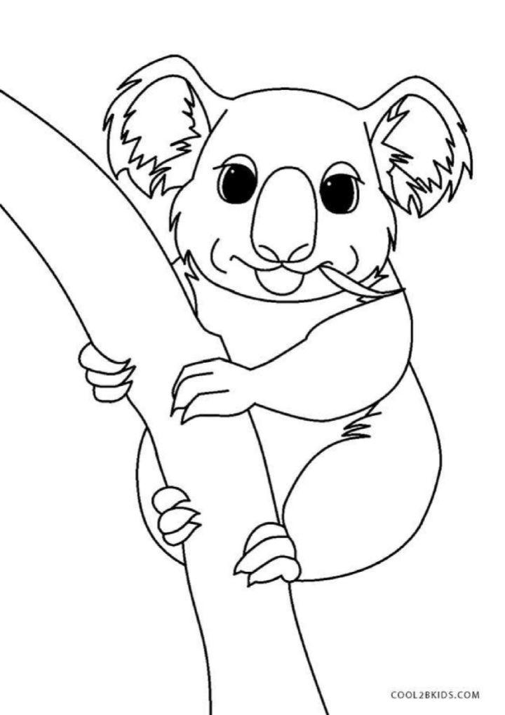 Koala Coloring Pages for Kids