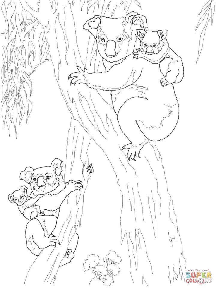 Koala Moms with Babies Coloring Page