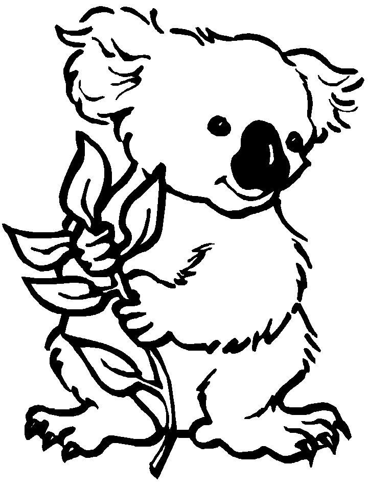 Koala with Eucalyptus Leaves Coloring Page