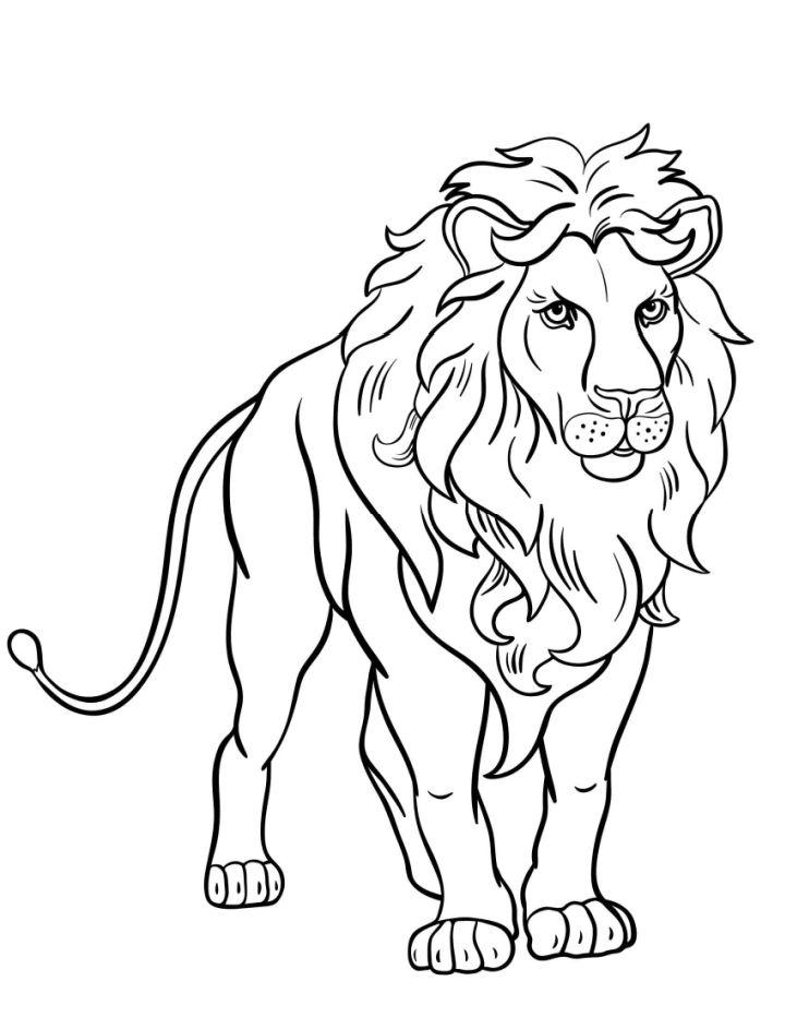 25 Free Lion Coloring Pages for Kids and Adults - Blitsy